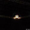 Meeting Leman boxe 2007